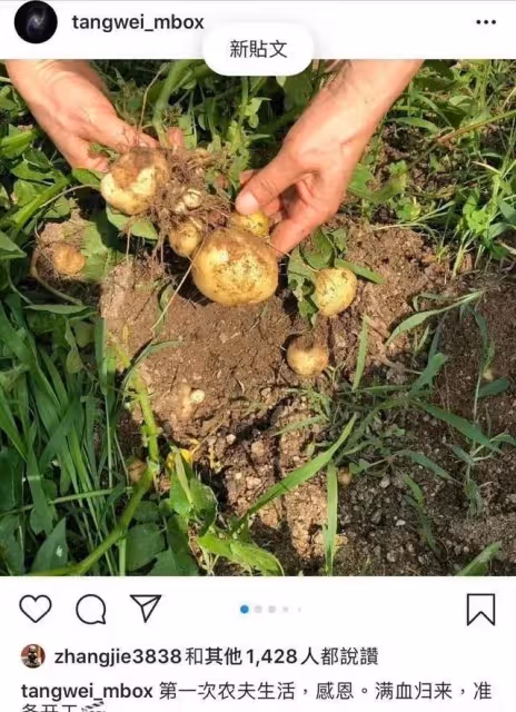 44歲湯唯現狀曝光!放著豪宅不住,去到下鄉種地,卻羨慕哭千萬人