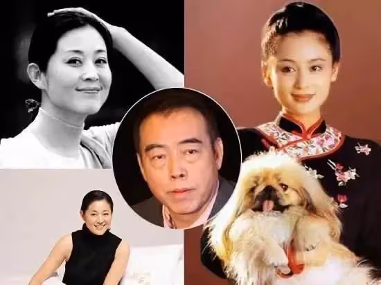 陳飛宇睡粉翻車，牽連陳凱歌陳紅往事被曝光，前妻洪晃笑到最後