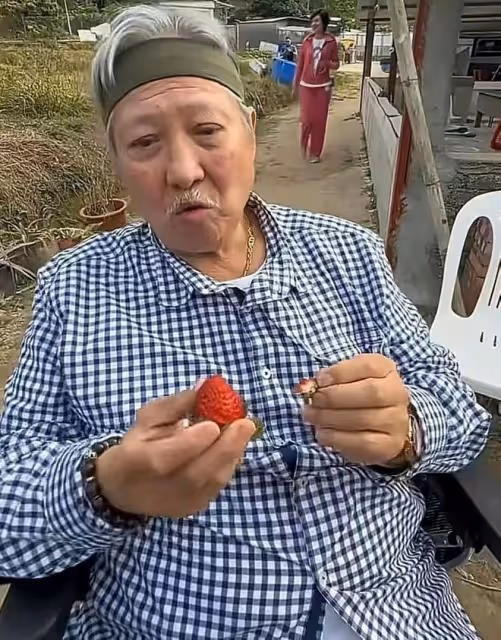 洪金寶攜妻兒吃路邊攤接地氣！混血妻子氣質非凡，窈窕貌美似少女