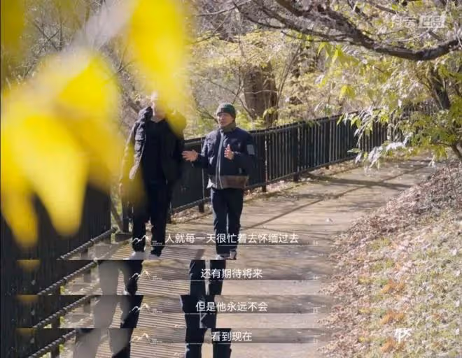 短視頻明星需要的是張大大,不是梁朝偉