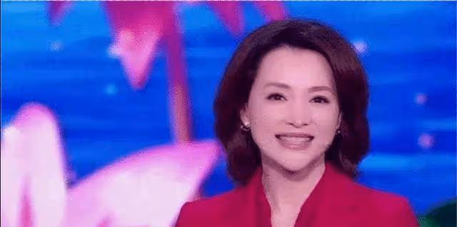 第二個董卿出現了，順利接手董卿所有資源，電視十分看好未來之星