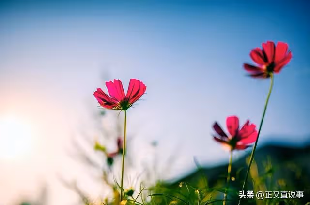 身價千萬的「永健哥」突然離世,死因背後的問題,值得我們深思