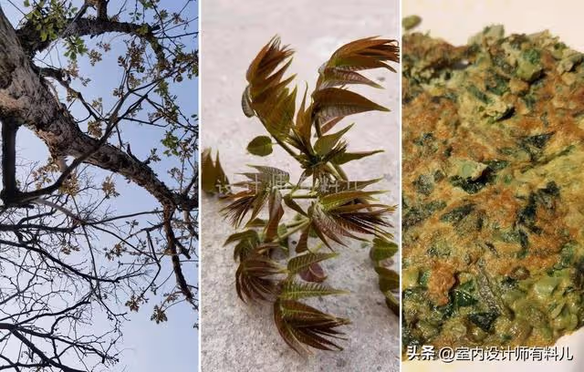 《狂飆》爆紅後,張頌文還是買不起房,又回去種菜了