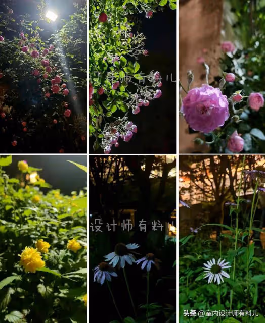 《狂飆》爆紅後,張頌文還是買不起房,又回去種菜了