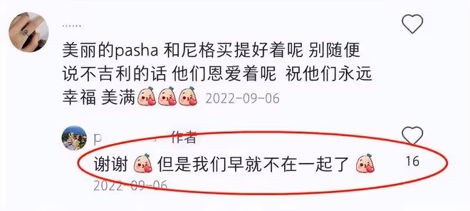 尼格買提婚變!9年婚姻已終結,妻子帕夏承認早就不在一起了