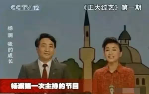 1994年,楊瀾愛上了體重200斤、身價100億的富商吳征,並迅速與丈夫張一兵離婚。有人問楊瀾:「你嫁給吳先生是因為他有錢嗎?」