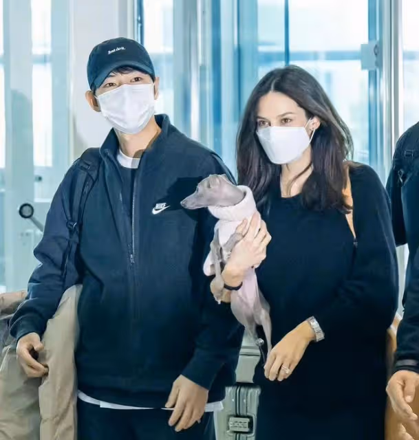 宋仲基與孕妻現身機場,手戴大鑽戒形影不離,多位保鏢跟隨成人牆