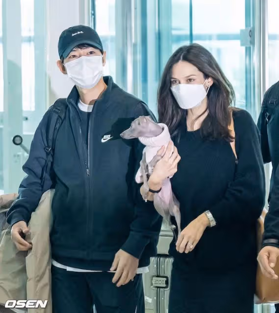宋仲基帶老婆Katy出國拍戲，Katy孕肚明顯緊貼著宋仲基行走