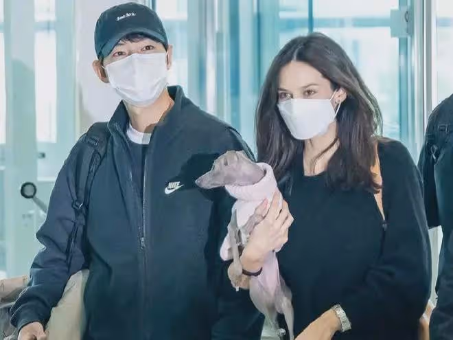 宋仲基夫婦現身!凱蒂挺孕肚抱小狗 戴鑽戒超吸睛