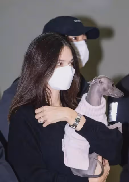 宋仲基夫婦現身!凱蒂挺孕肚抱小狗 戴鑽戒超吸睛