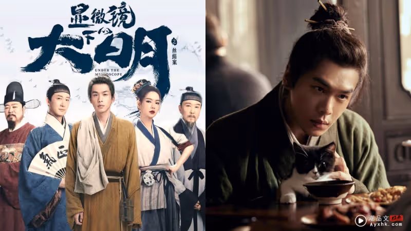 《慶餘年》演員群咖位暴增!張若昀暗示:與太太唐藝昕的合作破局