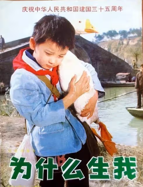 著名演員姬晨牧：曾是紅極一時的童星，他像父母一樣敬畏婚姻