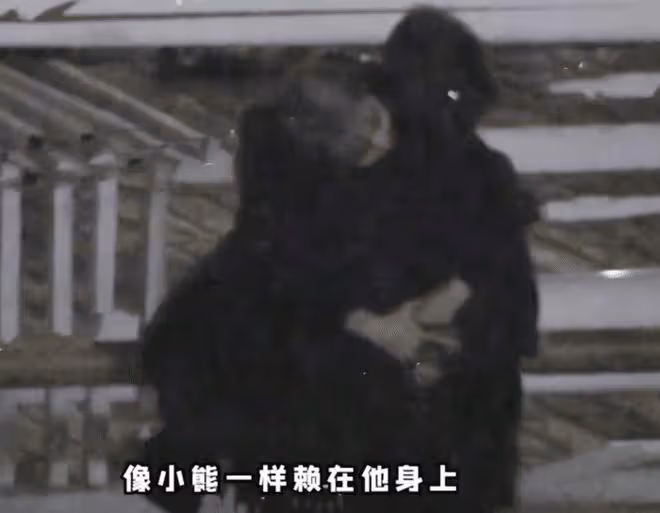 34歲周揚青曬婚紗照超驚艷,經紀人充當新郎單膝下跪,氛圍很曖昧