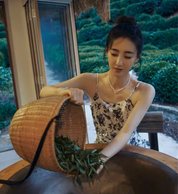 王麗坤最新瓜:為詐騙奶茶公司站台,拿到代言費跑路,聲明很無力