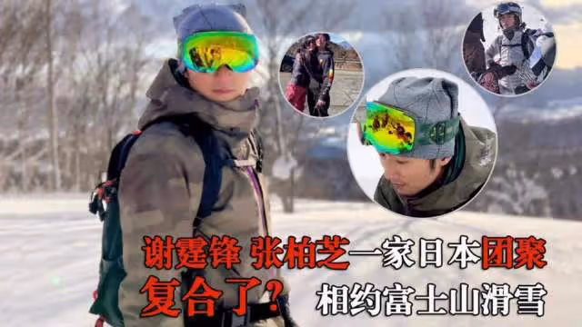謝霆鋒張柏芝疑復合，一家人同游日本……