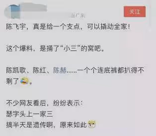 沒有陳飛宇，陳凱歌的體面，也在30年前的那一晚，被洪晃撕得粉碎