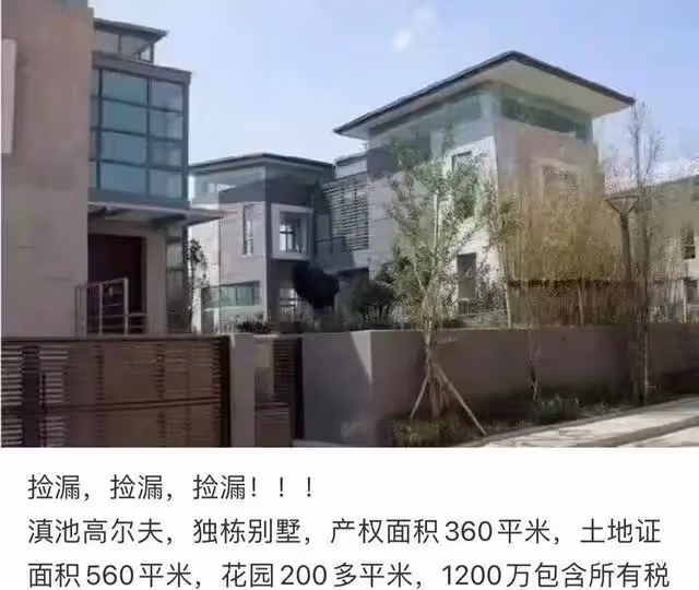 齊秦雲南聚會曝光！禿頭油膩蒼老難辨 ，王祖賢國外獨自與狗為伴