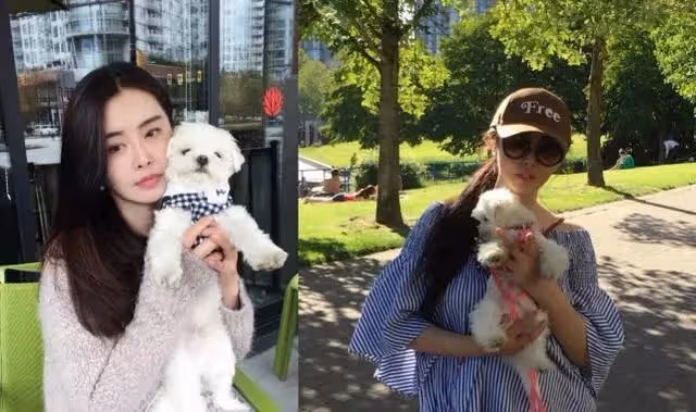 齊秦雲南聚會曝光！禿頭油膩蒼老難辨 ，王祖賢國外獨自與狗為伴