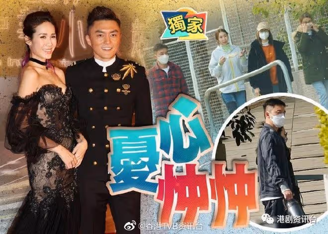 未來外父秘密入院!楊明日日靚湯侍候 延遲娶莊思明