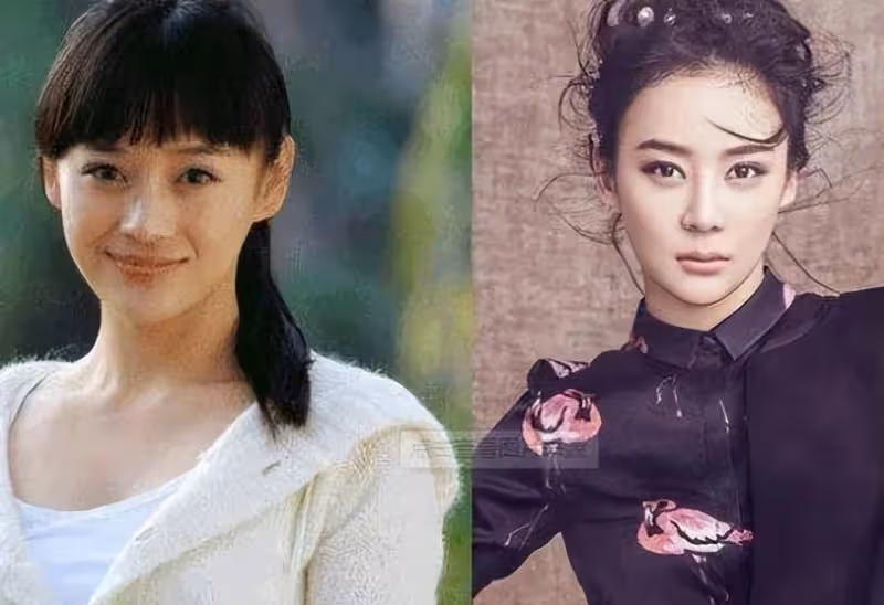 李小璐不承認整容,袁姍姍整成山寨臉,只有她大大方方承認了