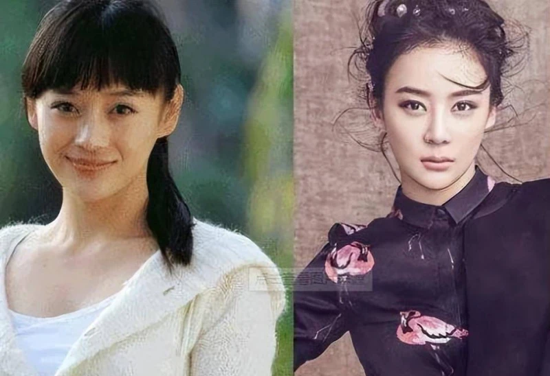 李小璐不承認整容,袁姍姍整成山寨臉,只有她大大方方承認了