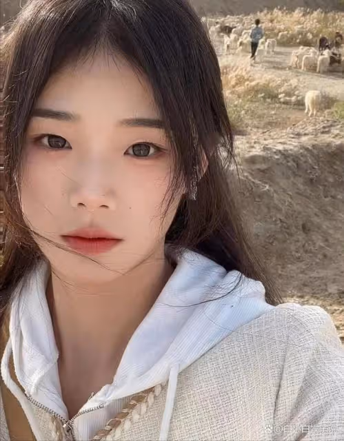 深陷經紀人戀情灰太狼,8年追夫樊小慧,催化人性瑕疵的紅人效應