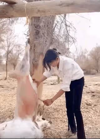 深陷經紀人戀情灰太狼,8年追夫樊小慧,催化人性瑕疵的紅人效應