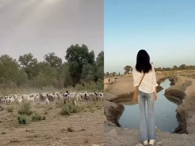 深陷經紀人戀情灰太狼,8年追夫樊小慧,催化人性瑕疵的紅人效應