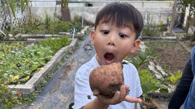 胡杏兒曬兒子挖番薯，5歲長子表情豐富古靈精怪，1歲小兒子顏值高