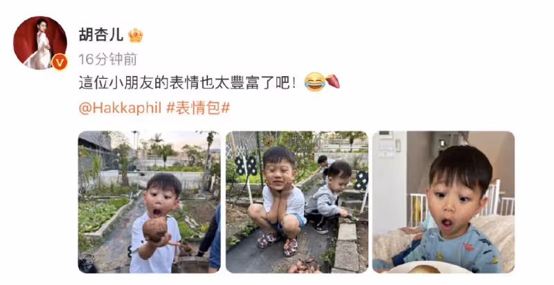 胡杏兒曬兒子挖番薯,5歲長子表情豐富古靈精怪,1歲小兒子顏值高