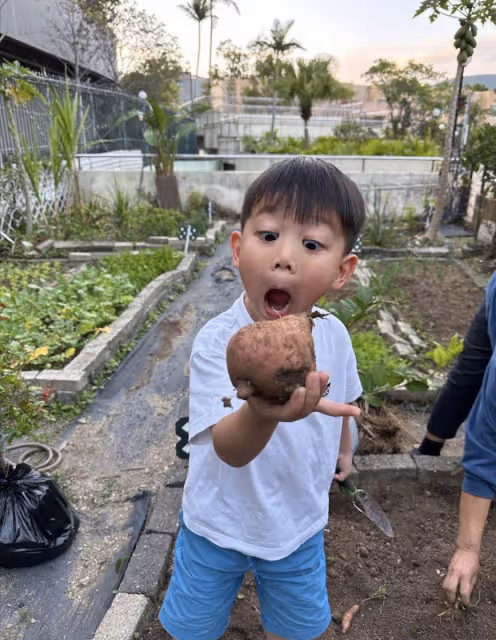 胡杏兒曬兒子挖番薯,5歲長子表情豐富古靈精怪,1歲小兒子顏值高