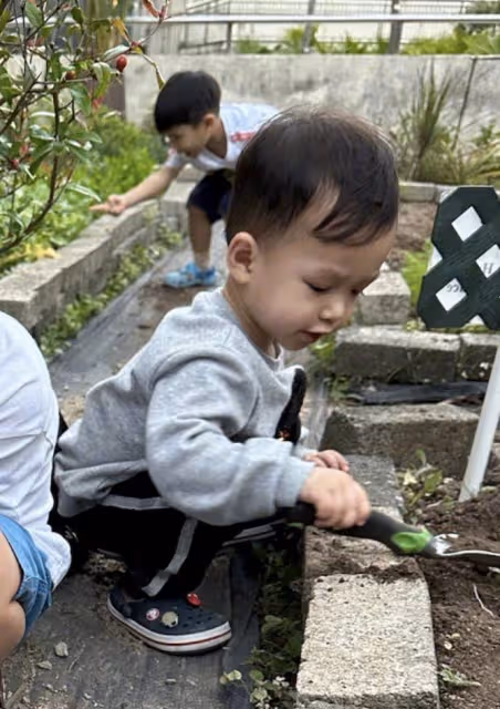 胡杏兒曬兒子挖番薯,5歲長子表情豐富古靈精怪,1歲小兒子顏值高