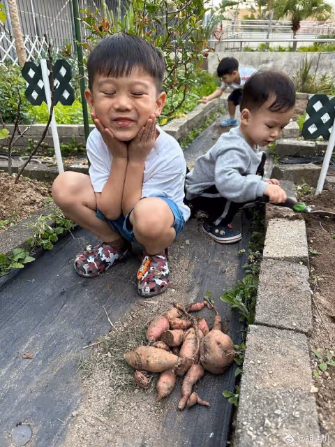 胡杏兒帶兒子挖紅薯,5歲奕霆調皮搞怪表情豐富,被贊有演員潛質