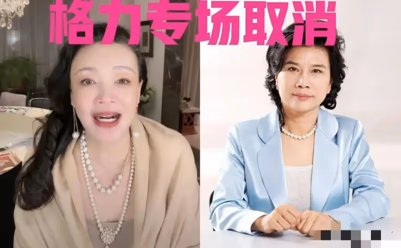張蘭:董明珠未同意合體帶貨是格力一大損失,疑背後有人搞怪