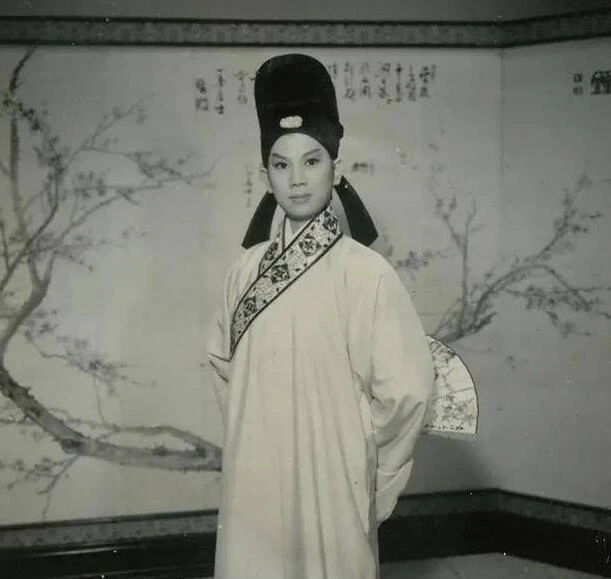 83歲凌波與85歲金漢罕露面,結婚57年恩愛如初,移民多年生活幸福