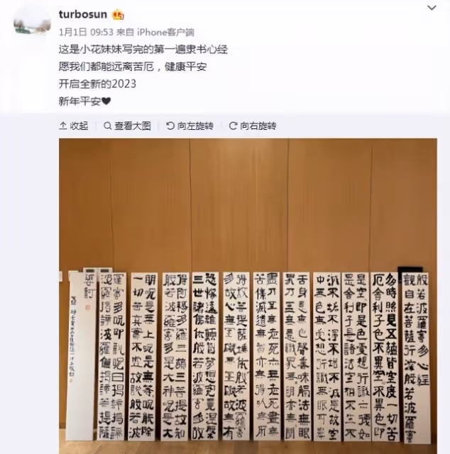 孫儷為大提琴考級做準備,曬練習美照打趣:不要一緊張拉出豬叫聲