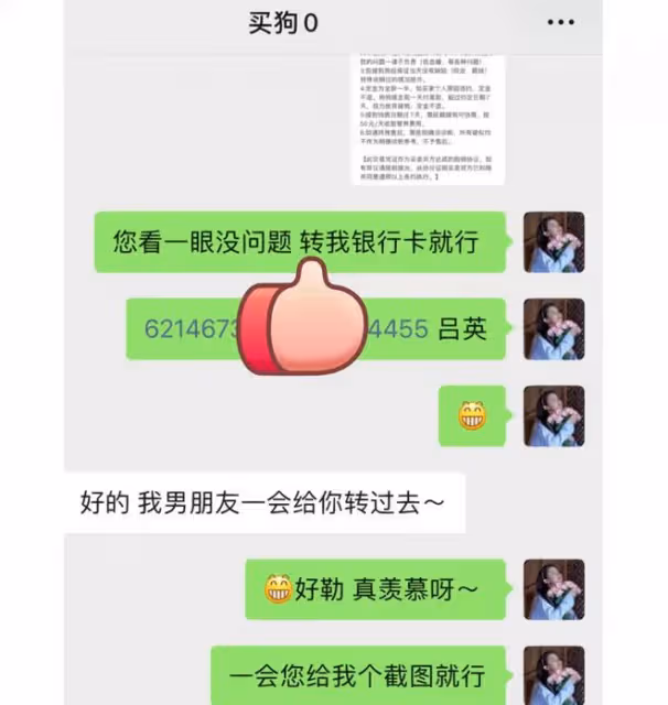 曝王思聰花四萬五買狗討好新歡！小十五歲女友疑默認，兩人感情好