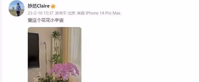 央視新聞女主播完成換代,劉妙然後勁乏力,勞春燕未來可期