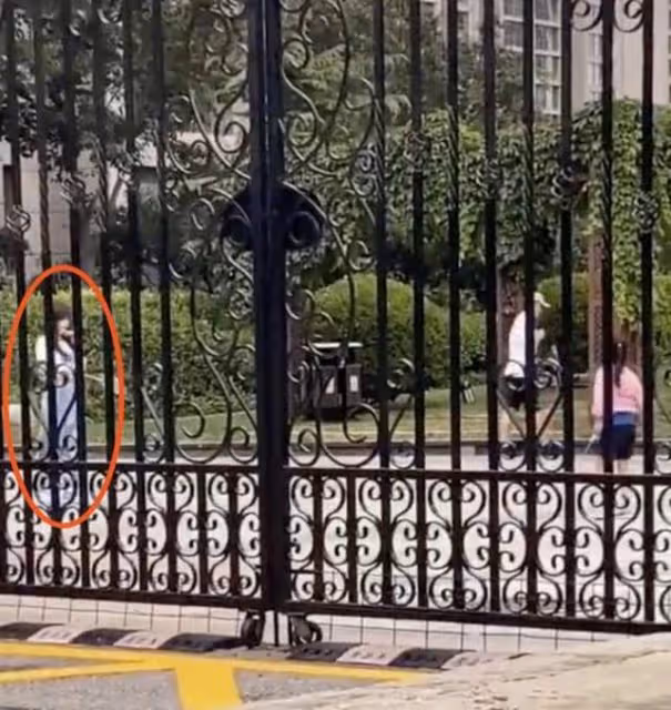 賈乃亮罕曬女兒，喂她吃芝士向她比心，甜馨勉強微笑回應略顯敷衍