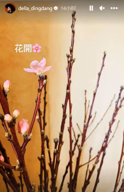 40歲歌手丁當官宣戀情！與小15歲男友親密合影，開心吃心形海膽餐