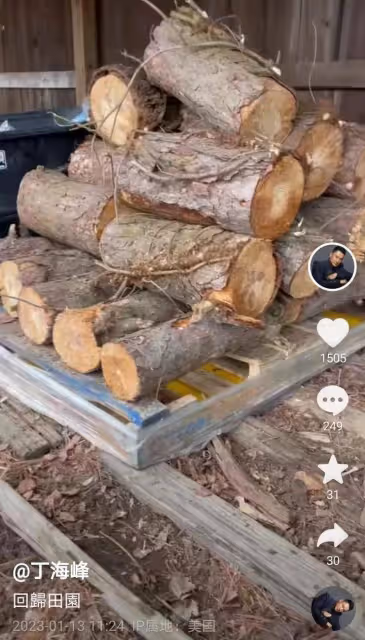 丁海峰:到美國生活是為了更好地砍樹和陪伴家人,那個武松還沒變