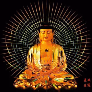 這7種動物，如果不請自來進家門，千萬不要趕走，這是吉兆別把好運拒之門外