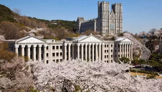 外國人去韓國慶熙大學的優勢