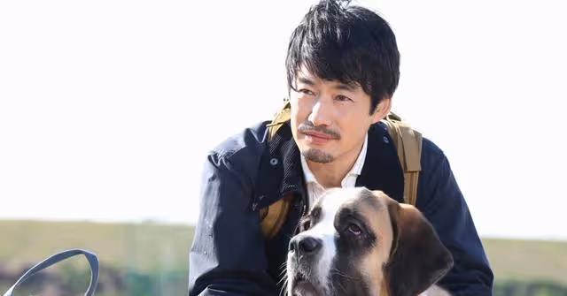 日本女性票選太快結婚會心碎的男藝人Top10！佐藤健穩坐第一