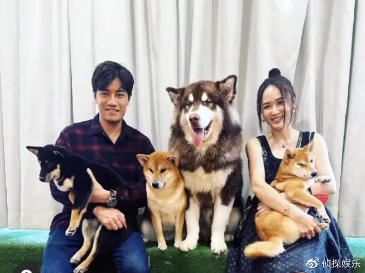 陳喬恩曬老公視角出遊照,打扮青春少女感足,腿部貼膠布引擔憂
