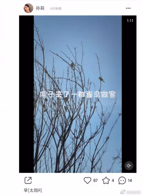 孫莉曬一家五口幸福日常,多多淑女弟弟鬼馬,多妹濃妝卷髮超個性