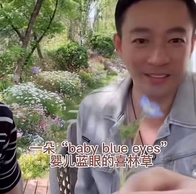 汪小菲他爸究竟幹嘛的?張蘭都得租他的別墅做直播,月租高達5萬