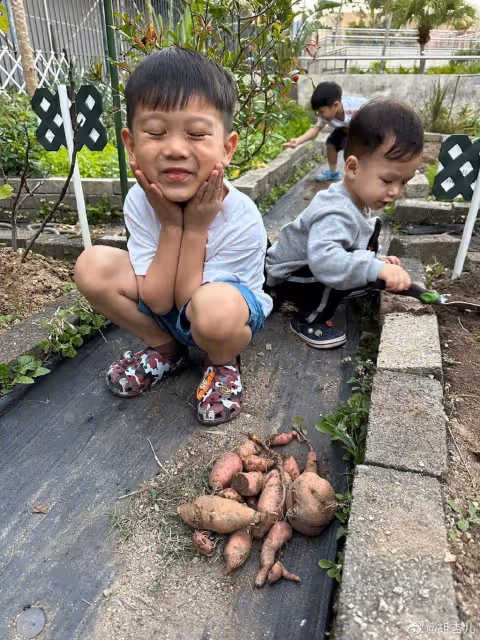 胡杏兒罕與廖碧兒同框,無濾鏡曝光兩人真實容貌,昔日女神都老了