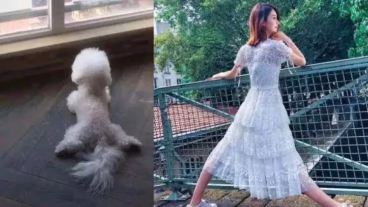 曝85花為大佬生兒子跟男星假結婚已實錘!三個關鍵信息鎖定趙麗穎