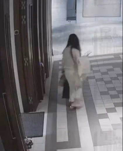 蔡天鳳:遇害細節曝光,頭顱還沒有找到,前夫消失不見正在追捕!